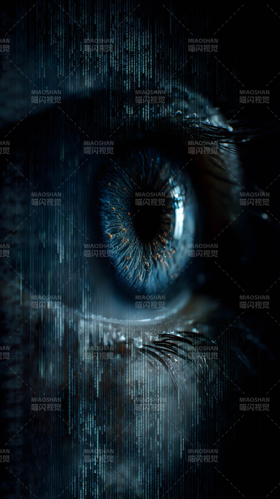 蓝眼数据矩阵图片