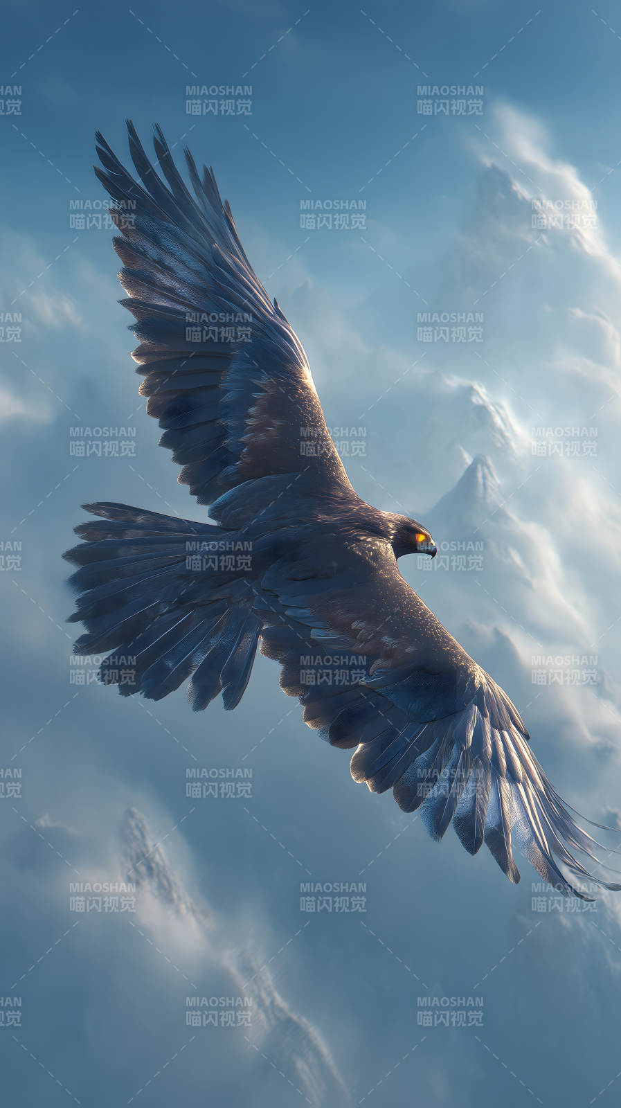 雄鹰翱翔云海之间图片