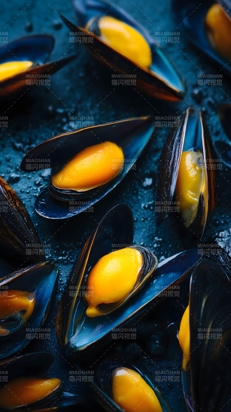 美味的蒸制贻贝特写图片