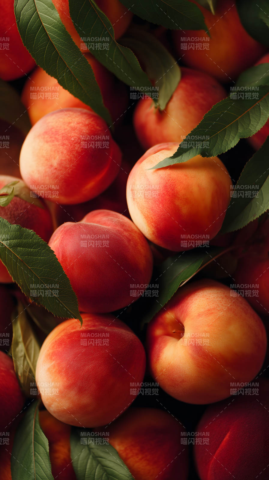 鲜美多汁的桃子特写图片