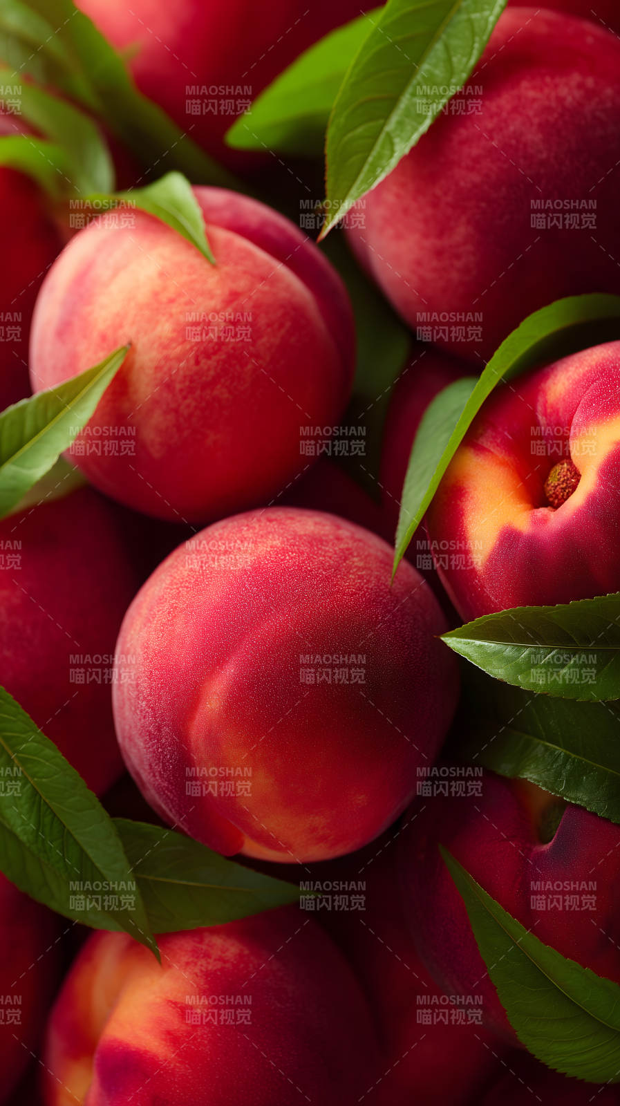 新鲜红润的桃子特写图片