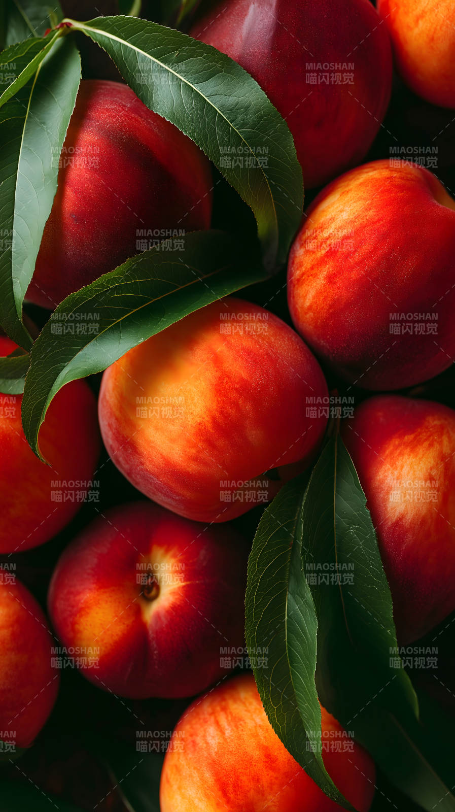 鲜艳蜜桃与绿叶特写图片