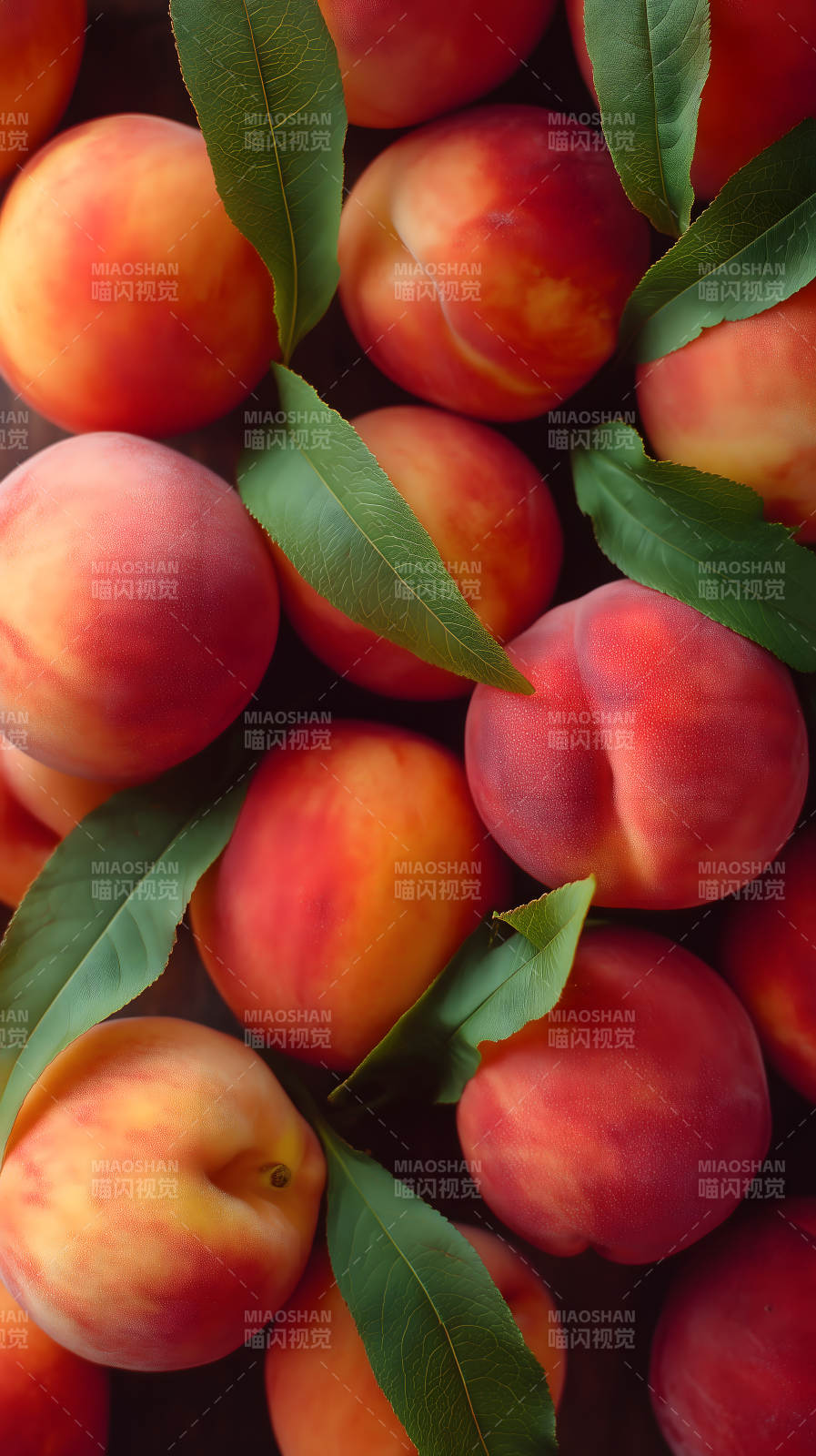 新鲜的桃子和叶子图片