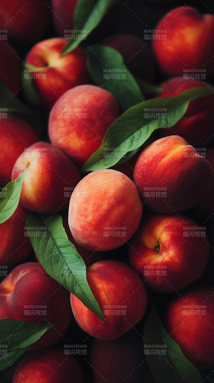 饱满红润的蜜桃特写图片