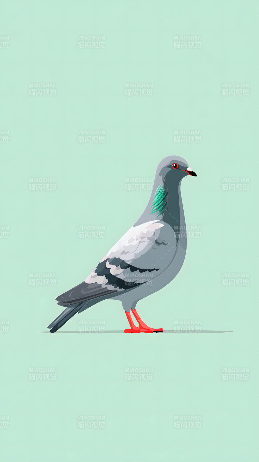 鸽子在浅绿色背景图片
