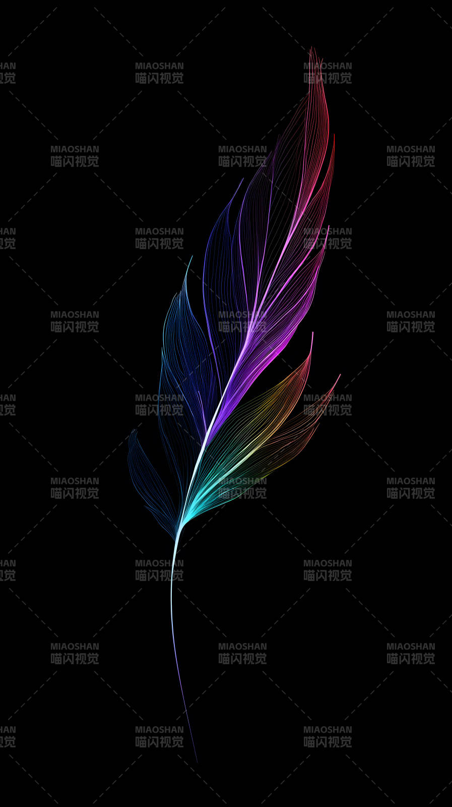 彩虹羽毛黑色背景图片