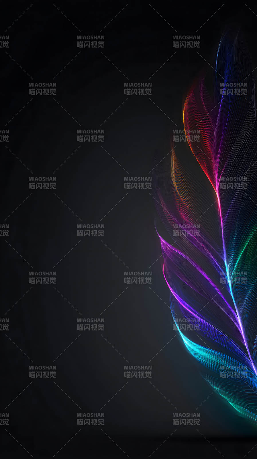 炫彩羽毛绽放光芒图片