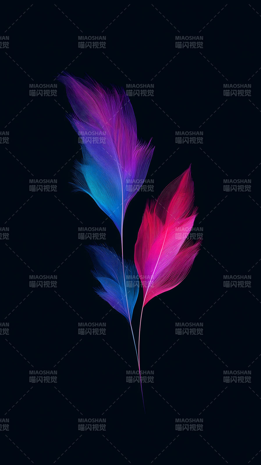 羽毛绚丽绽放光彩图片