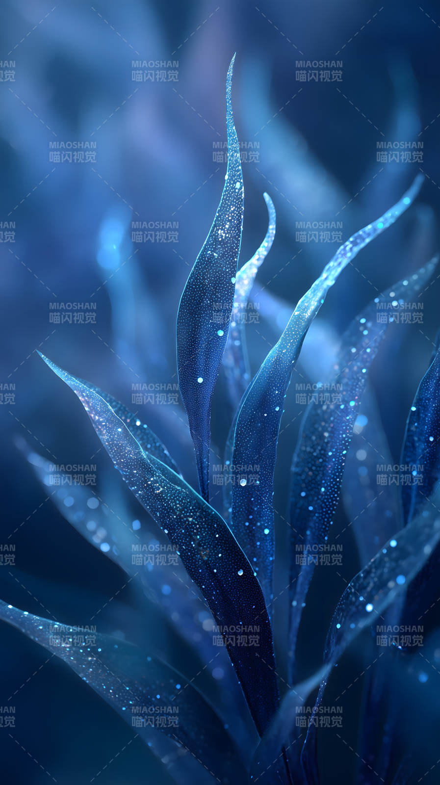 蓝色发光植物特写图片