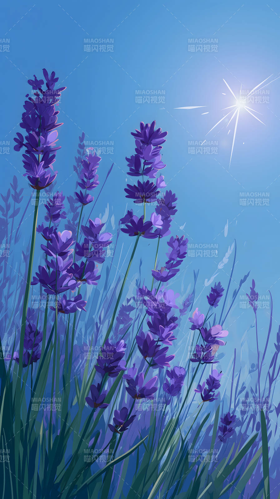 薰衣草盛开天空明媚图片