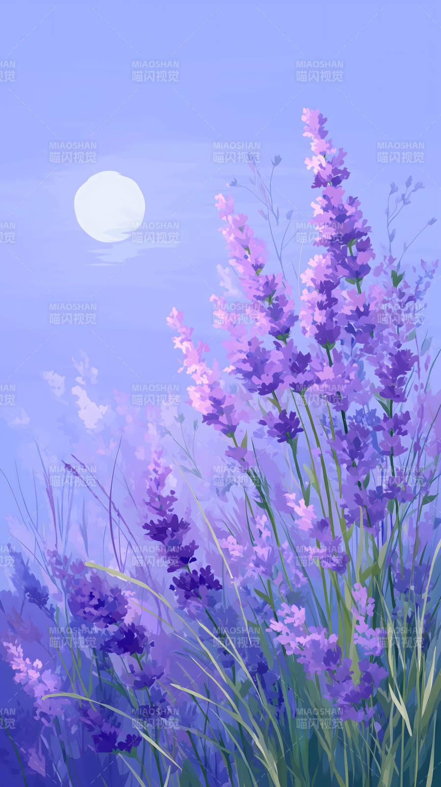 薰衣草月夜静谧美好图片
