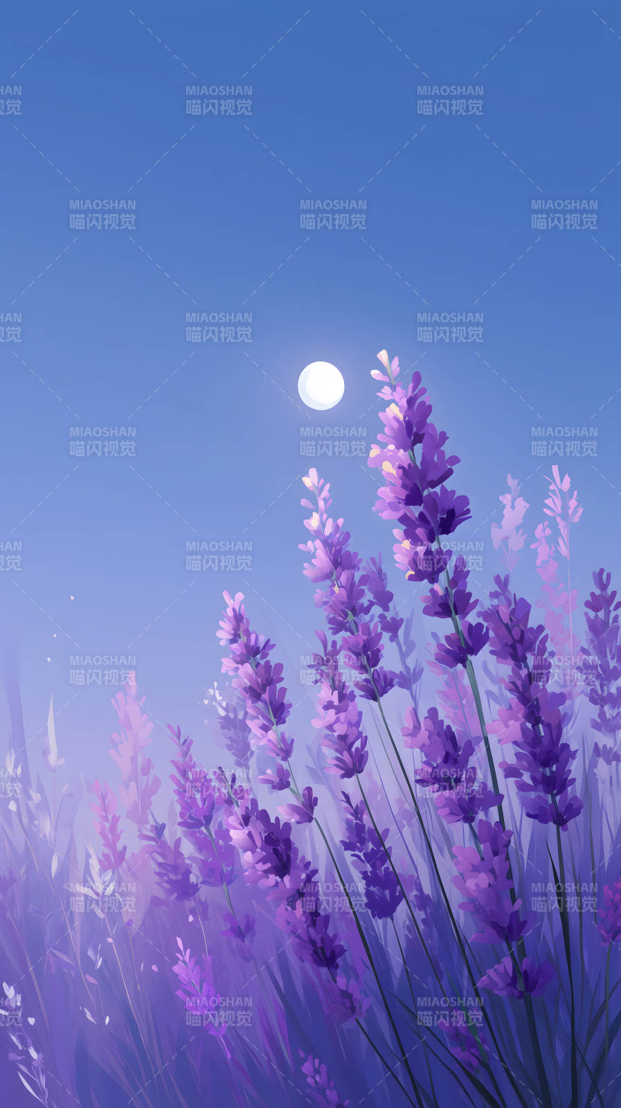 薰衣草夜色宁静唯美图片