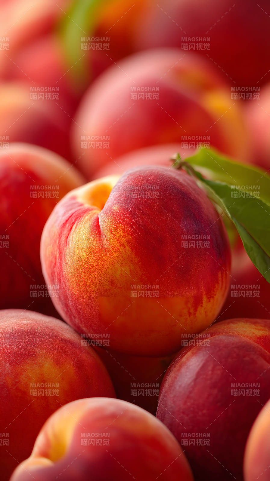 鲜艳的桃子特写图片