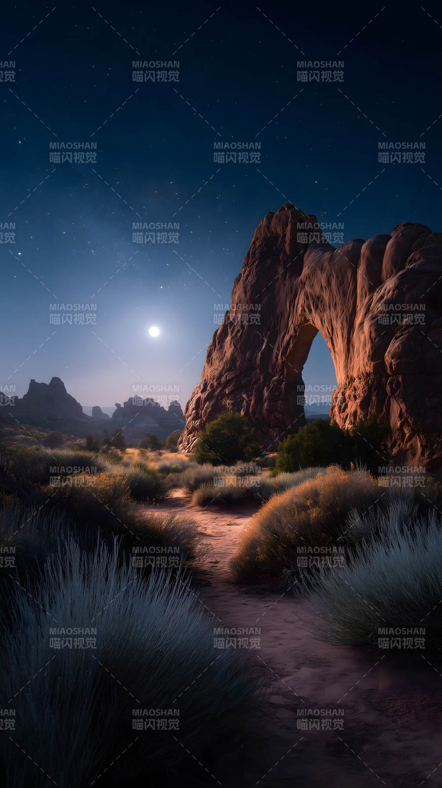 夜幕下的沙漠景观图片