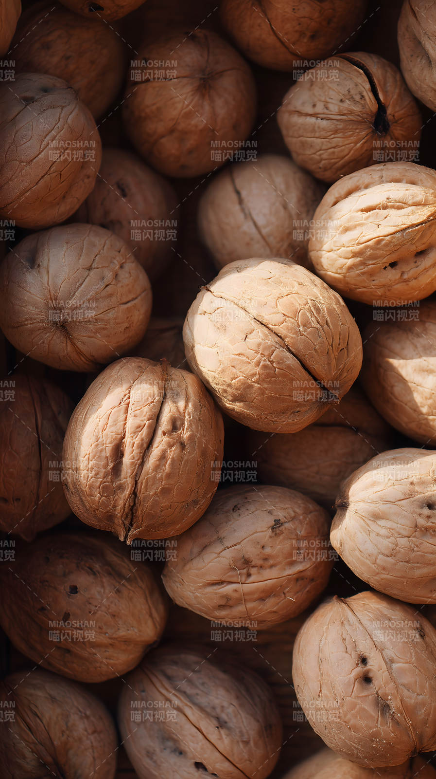 一堆坚果特写图片