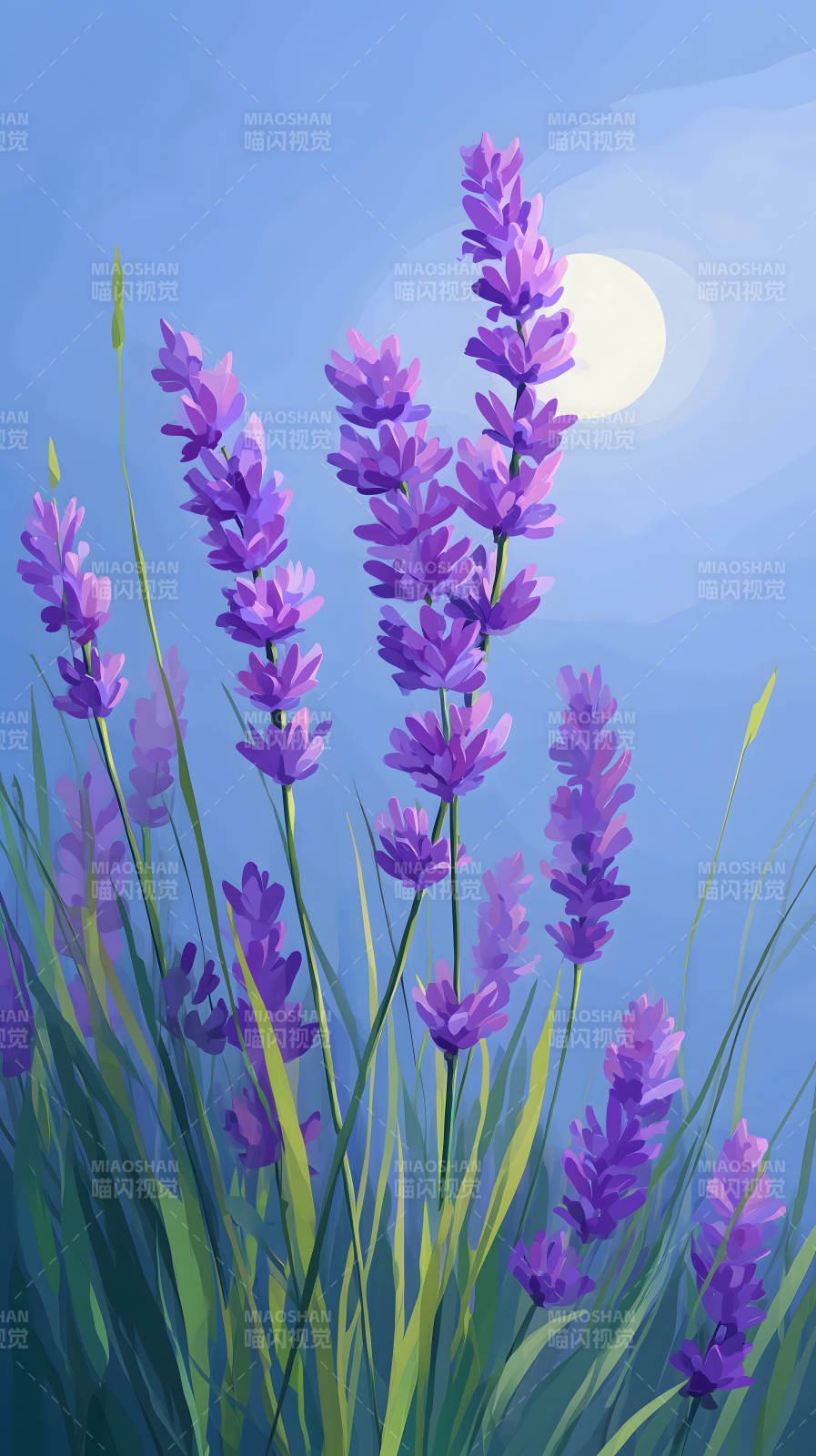 薰衣草与阳光的画面图片