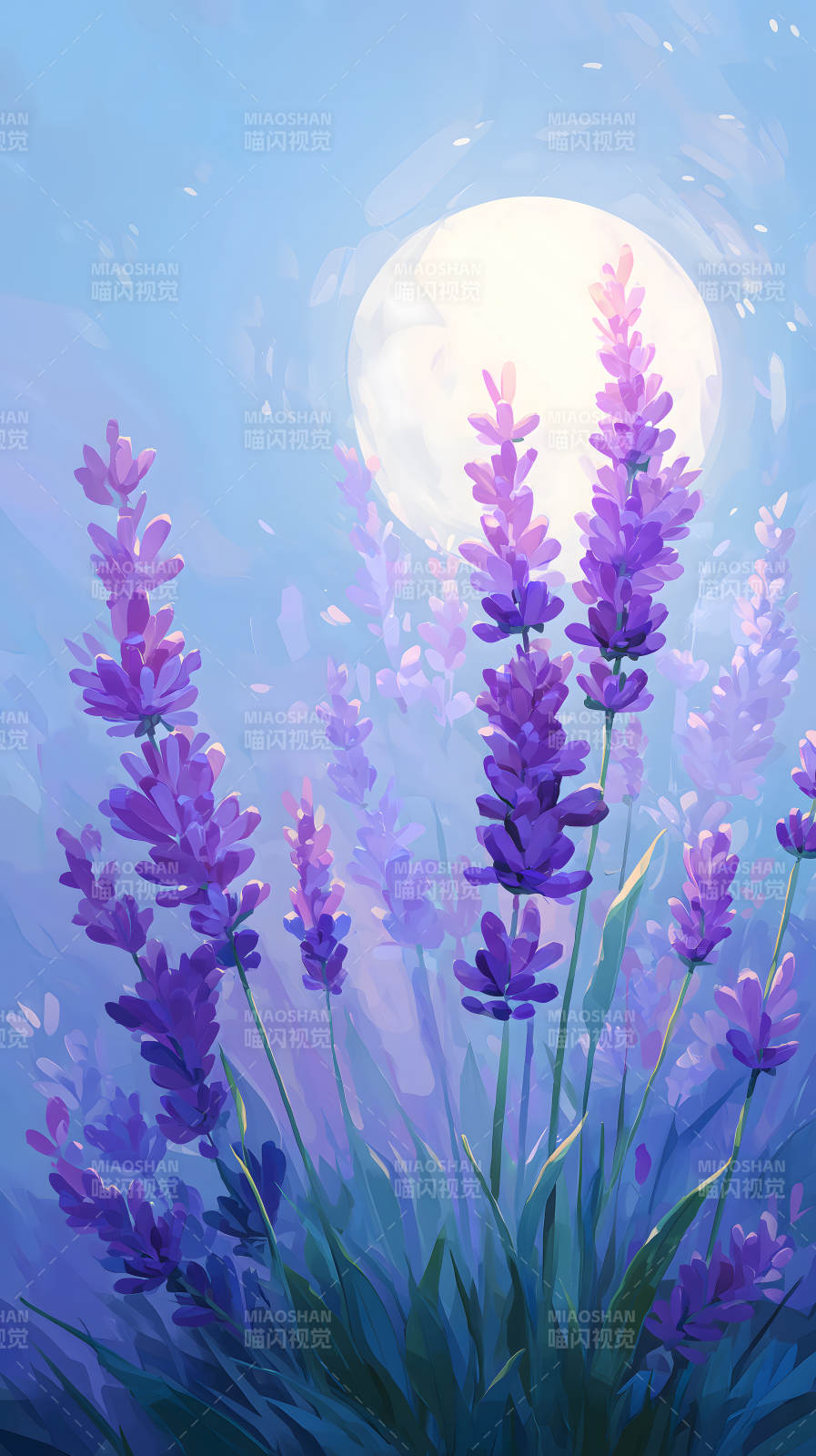 薰衣草花海月光图片