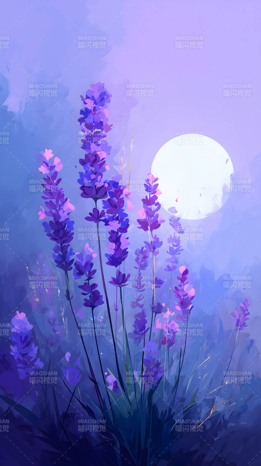 薰衣草月光下图片
