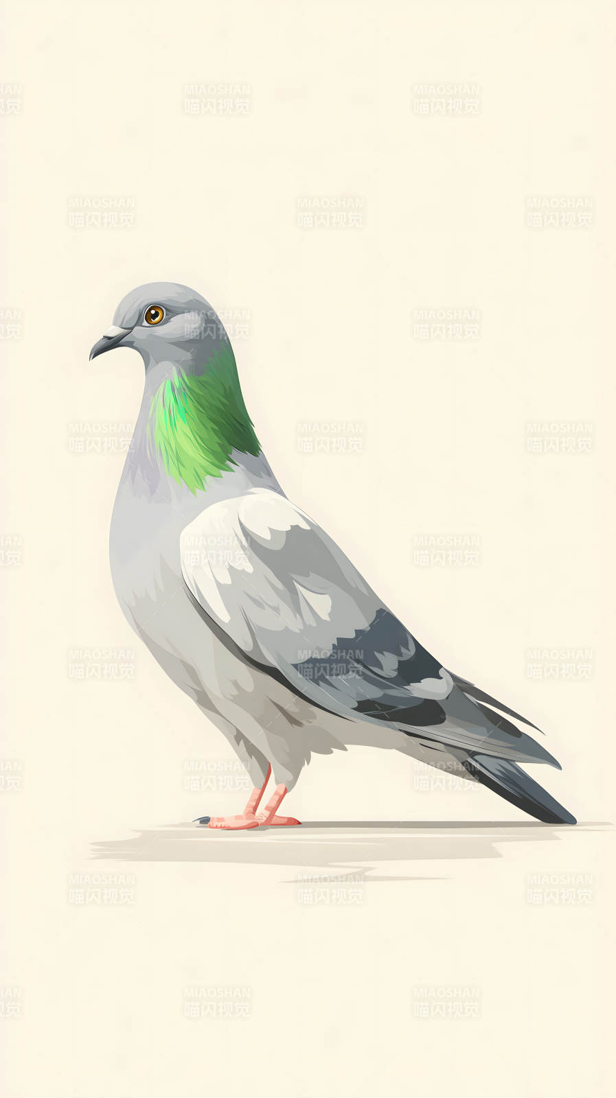 鸽子卡通图图片