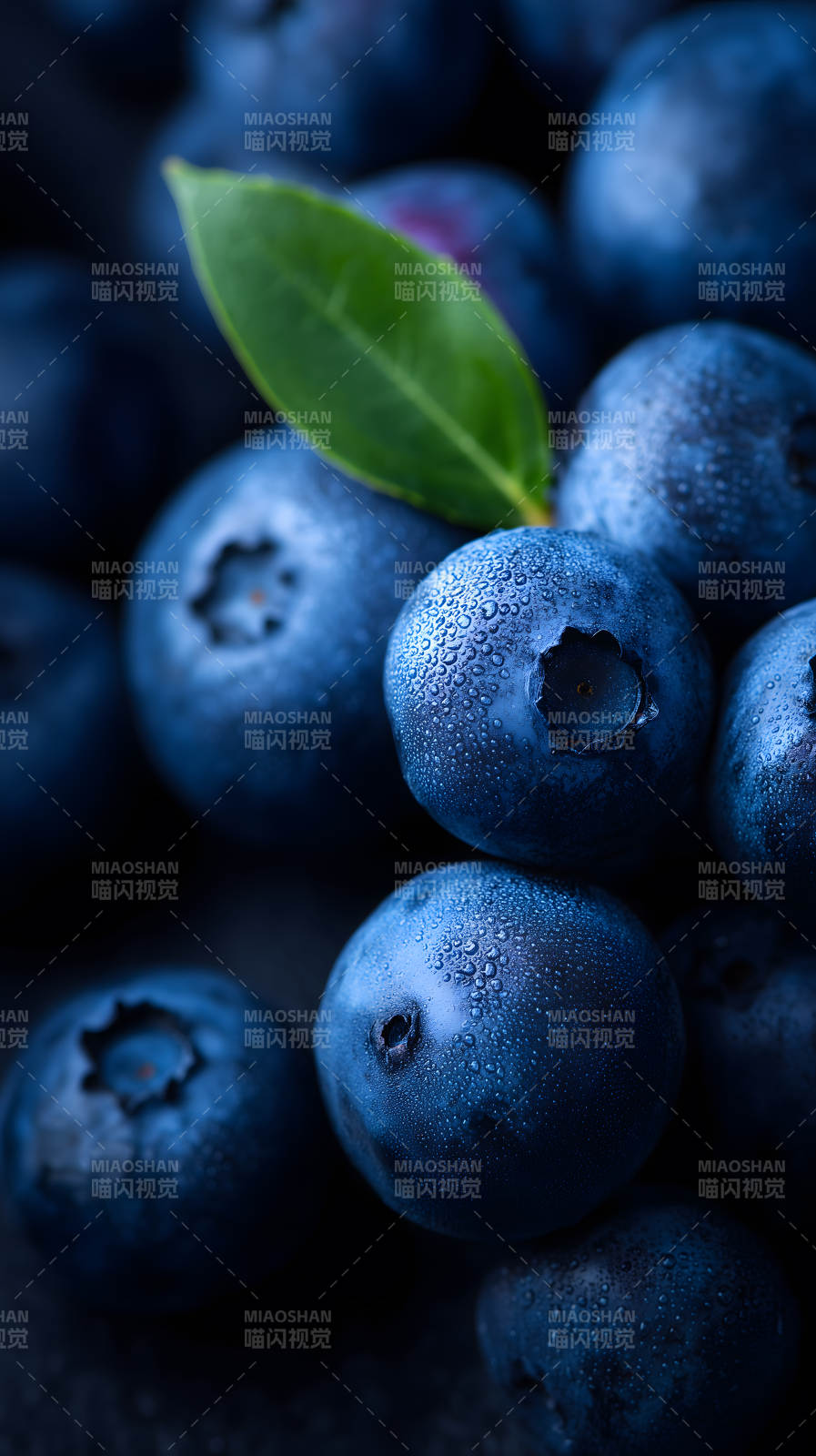 新鲜的蓝莓特写图片