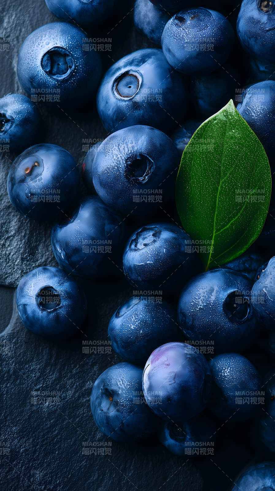 蓝莓与绿叶特写图片