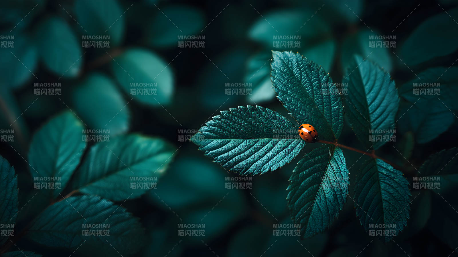 翠叶红虫静谧之美图片