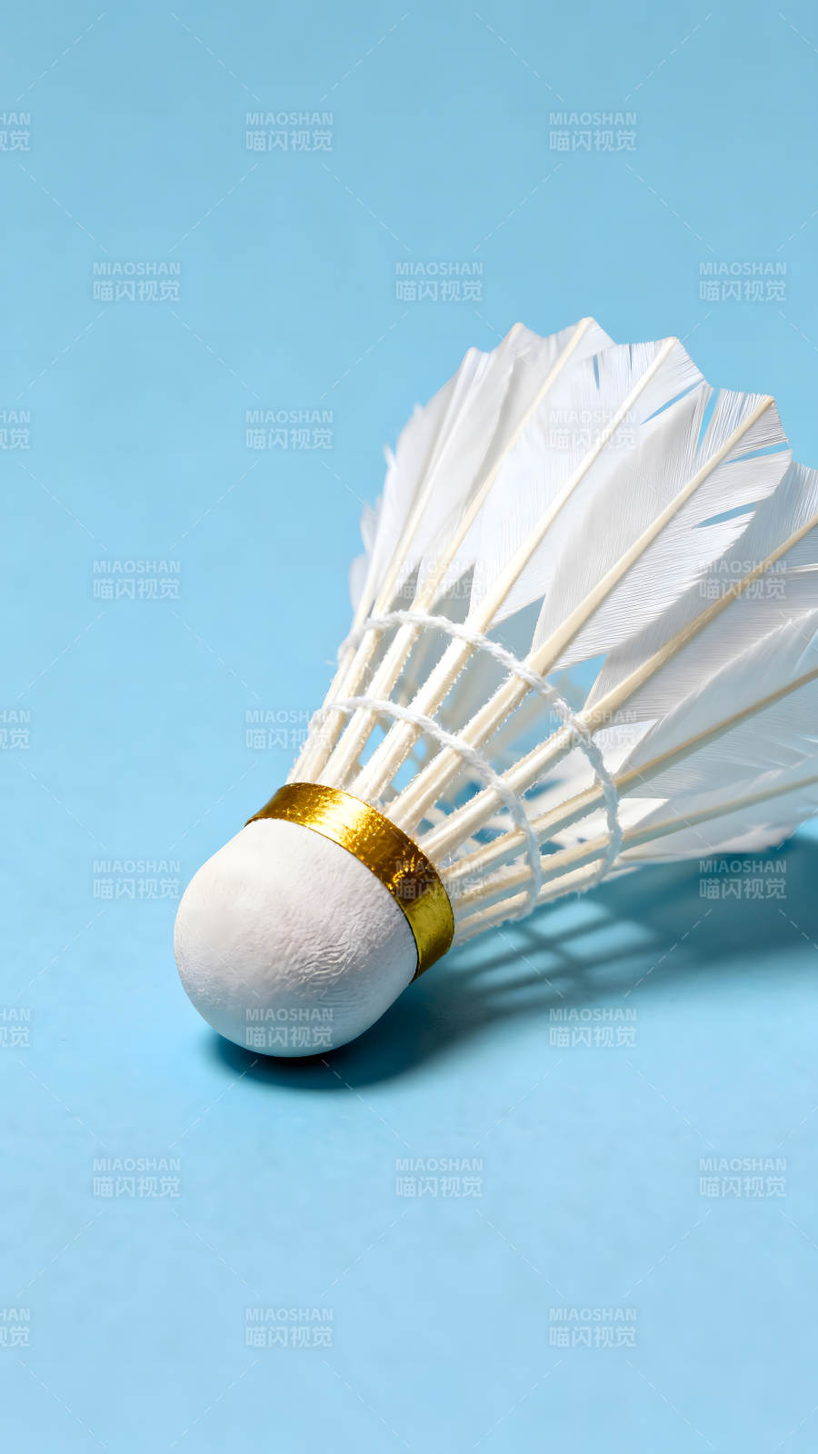 羽毛球特写蓝底衬托图片