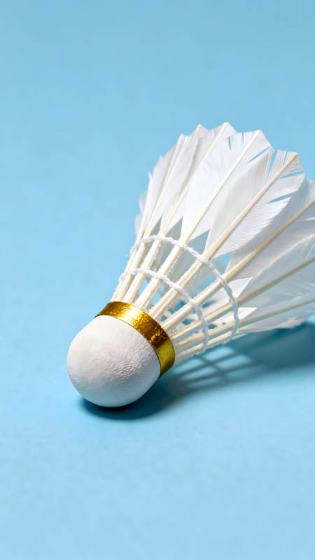 羽毛球特写蓝底衬托图片