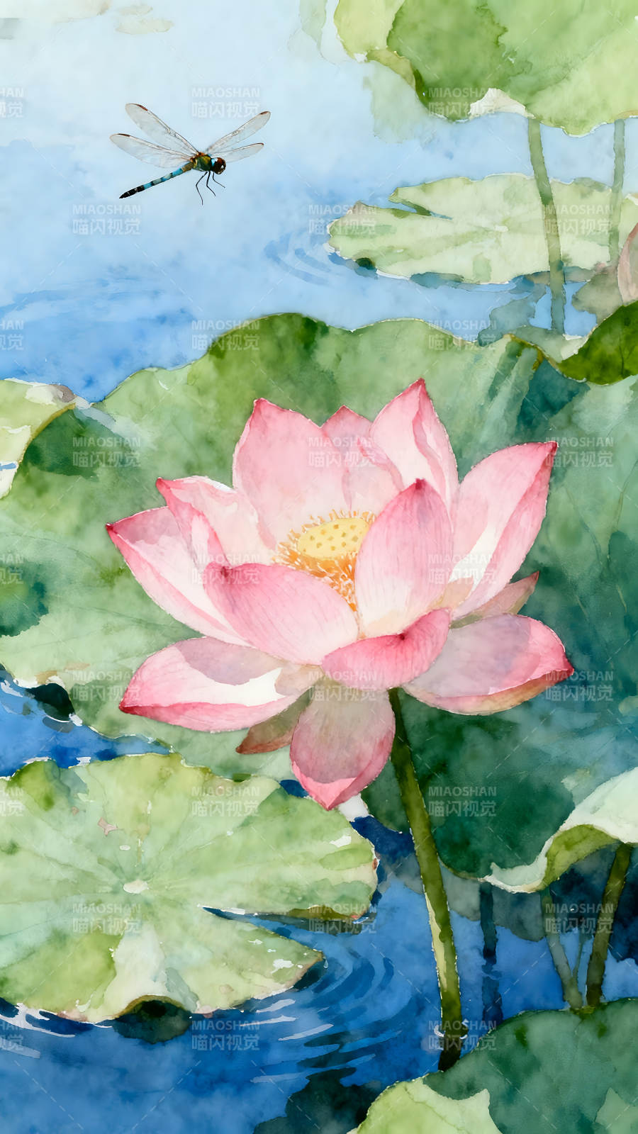 粉色莲花蜻蜓在水上图片