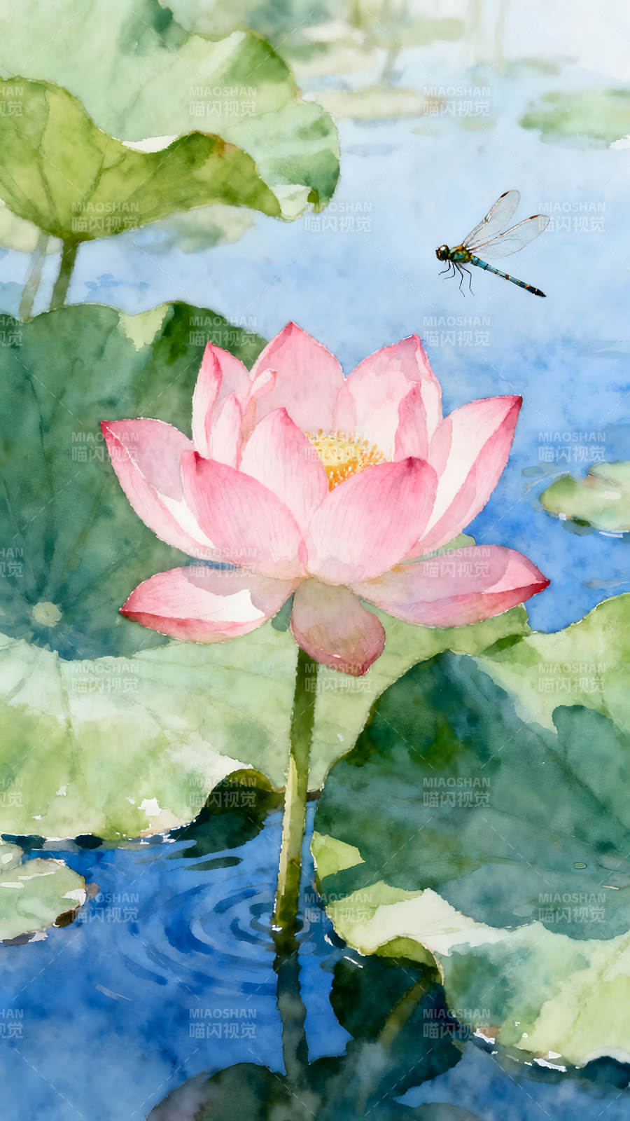 粉色莲花与蜻蜓在水中绽放图片