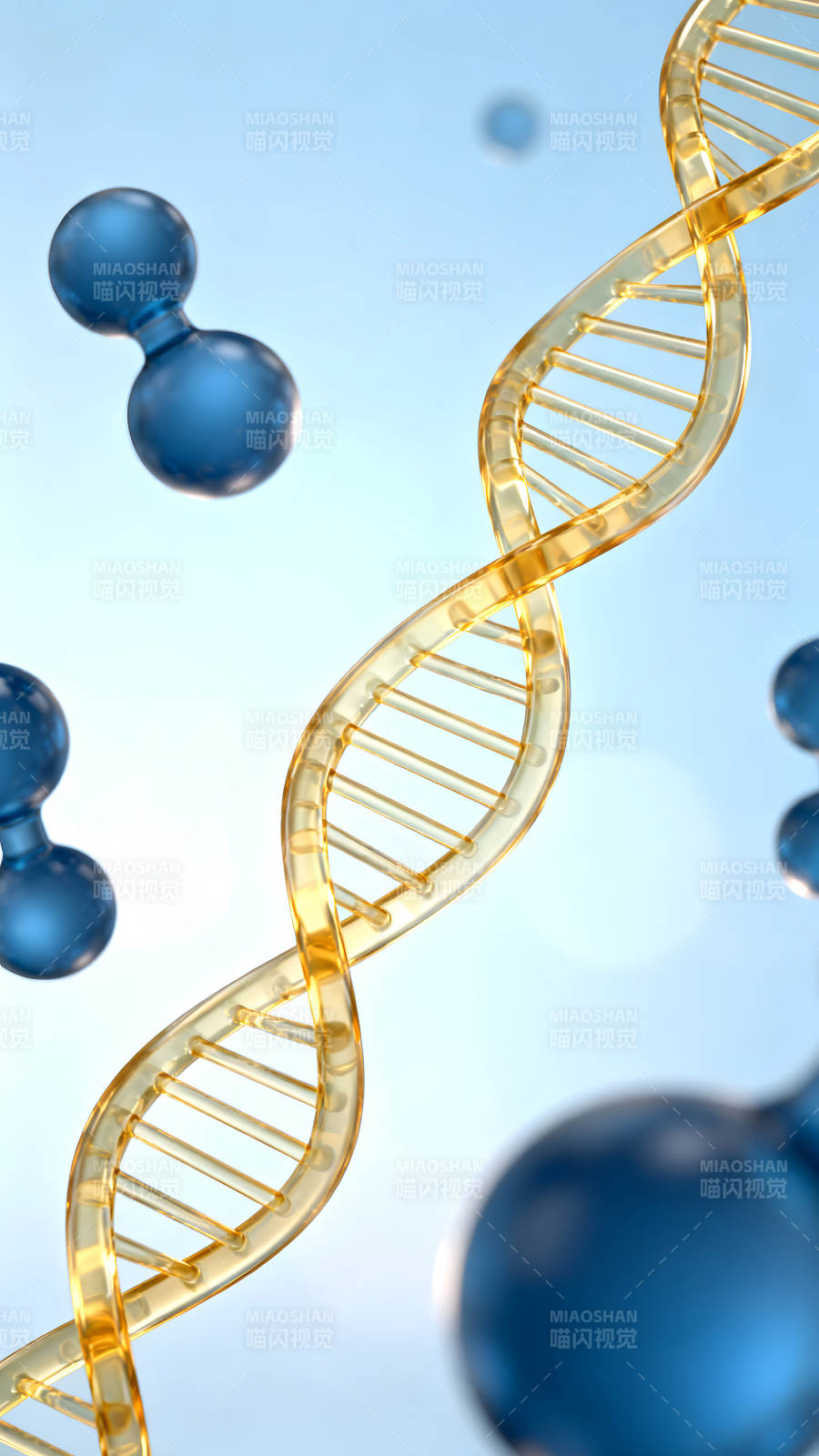 DNA双螺旋结构和分子模型图片