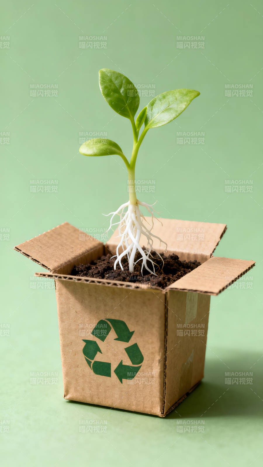 绿色环保理念下的植物生长图片