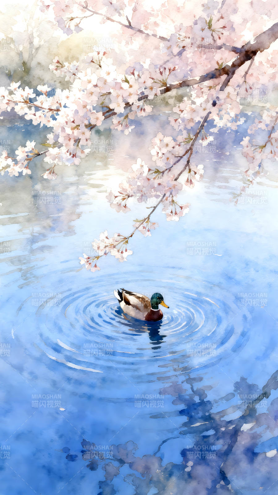 樱花树下鸭子戏水图片