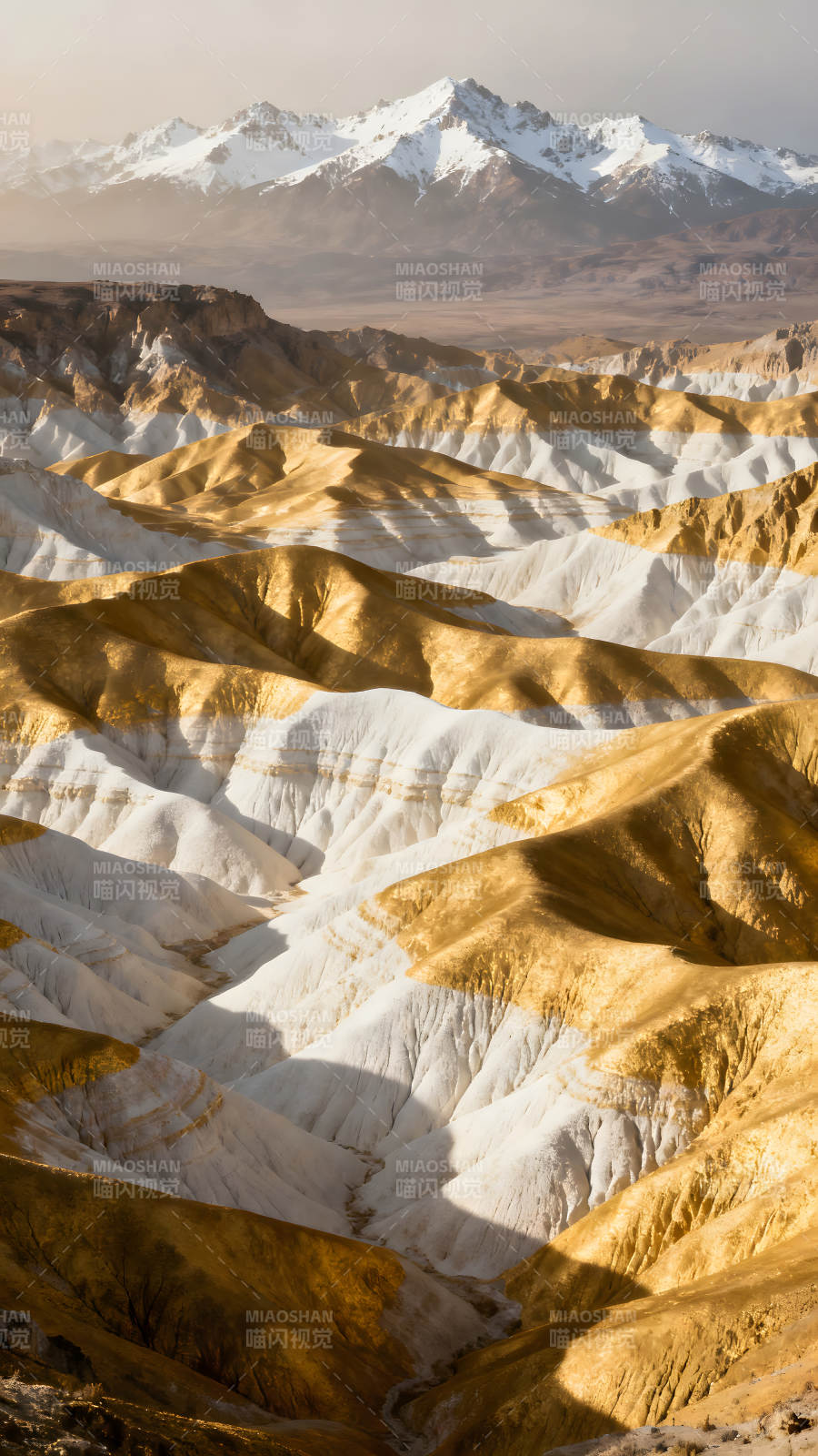 金色白色山丘与雪山图片