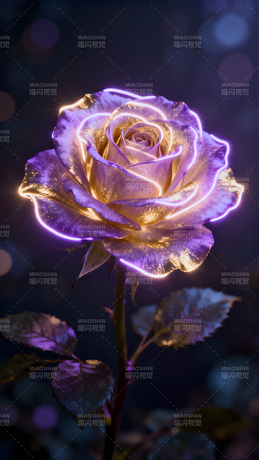 发光玫瑰花朵在深色背景下绽放图片