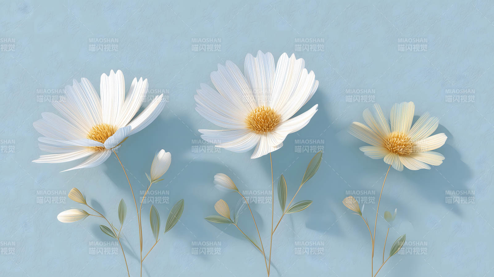 唯美白色花朵蓝色背景图片