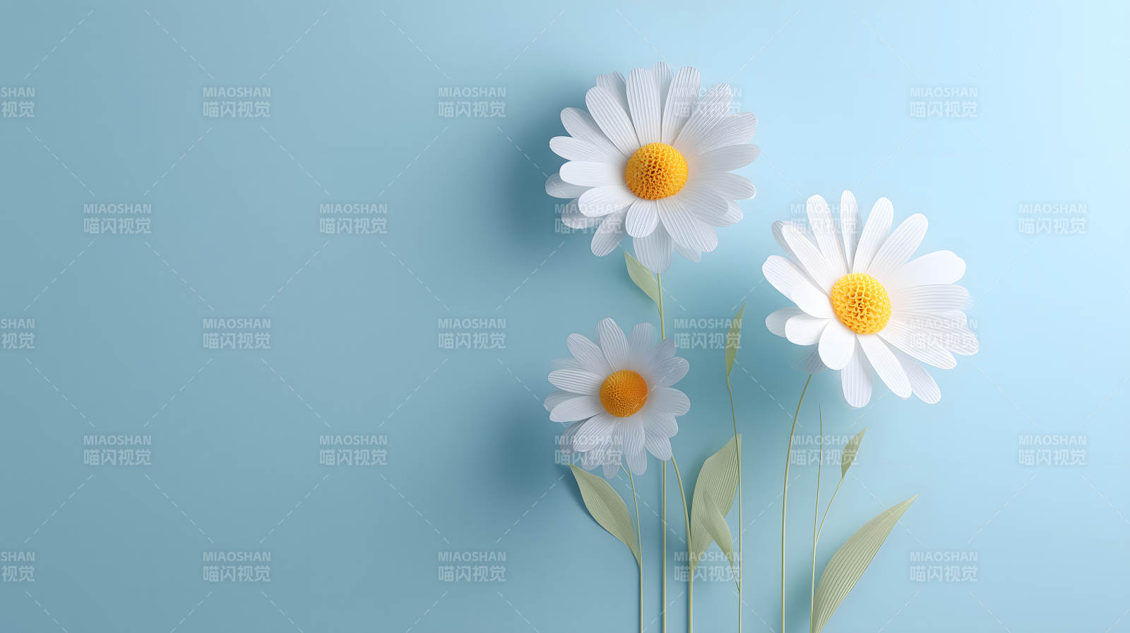 蓝天白花清新意境图片