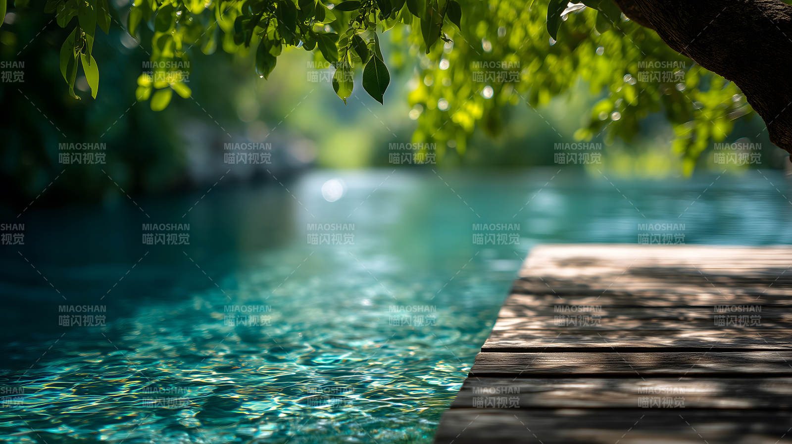 碧波荡漾绿叶摇曳光影斑驳图片