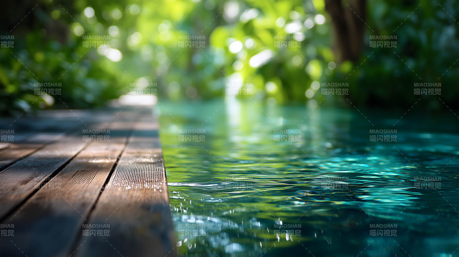 水边木板与绿植的宁静景象图片