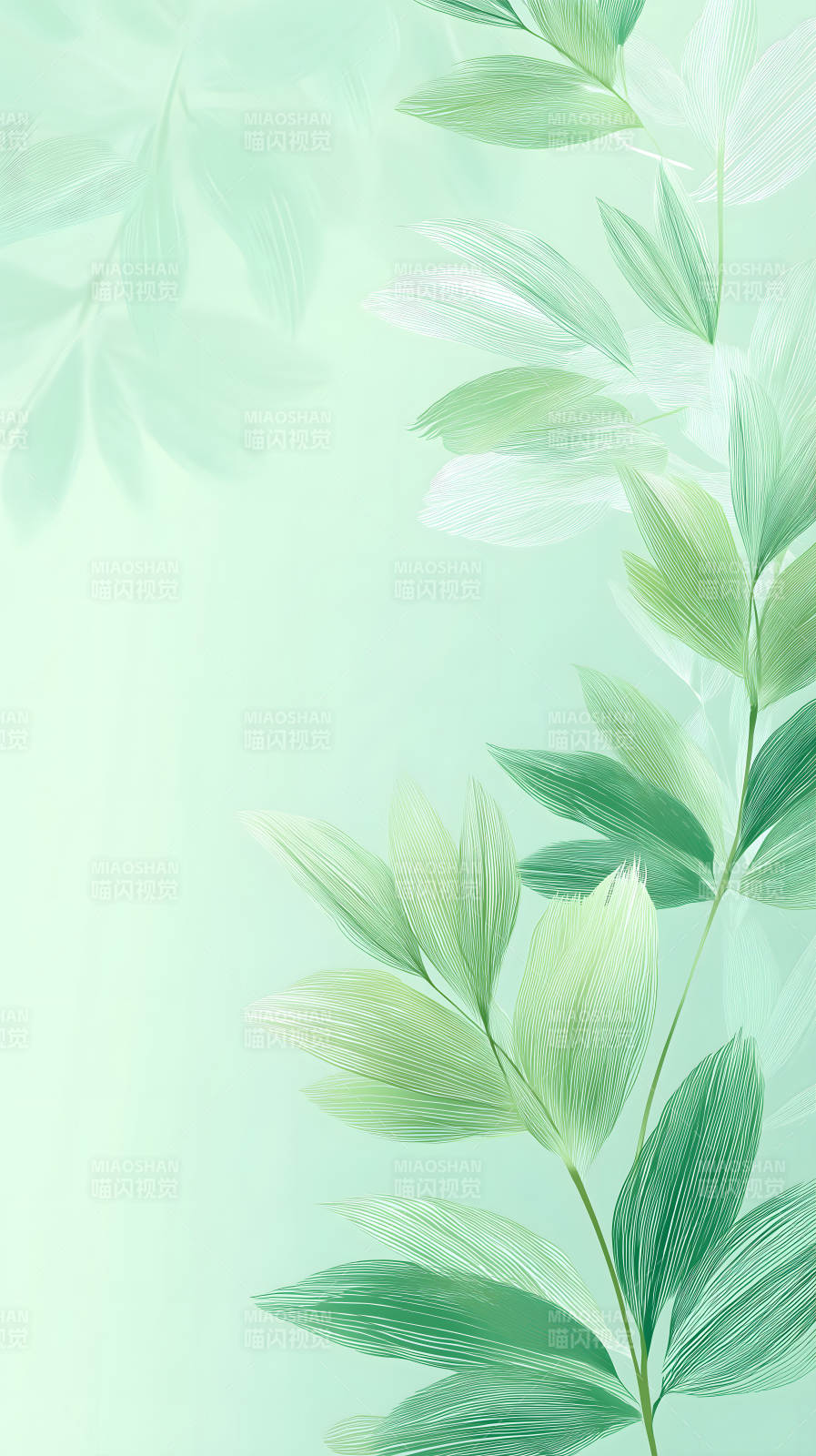 叶片纹理的绿色背景图图片
