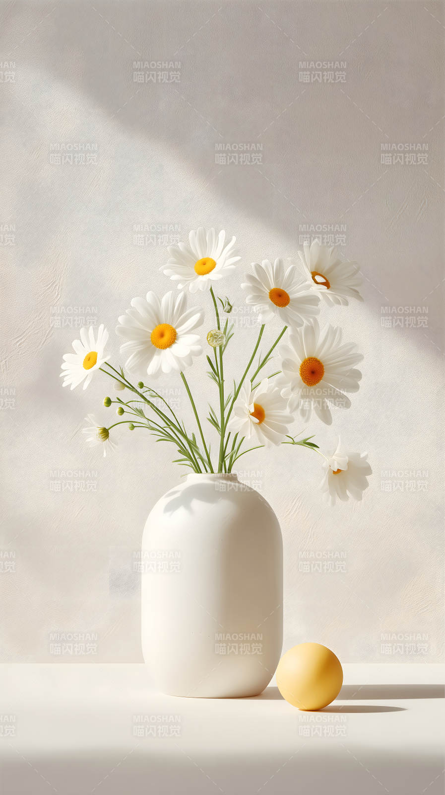 雏菊与白瓷瓶的静物摄影图片