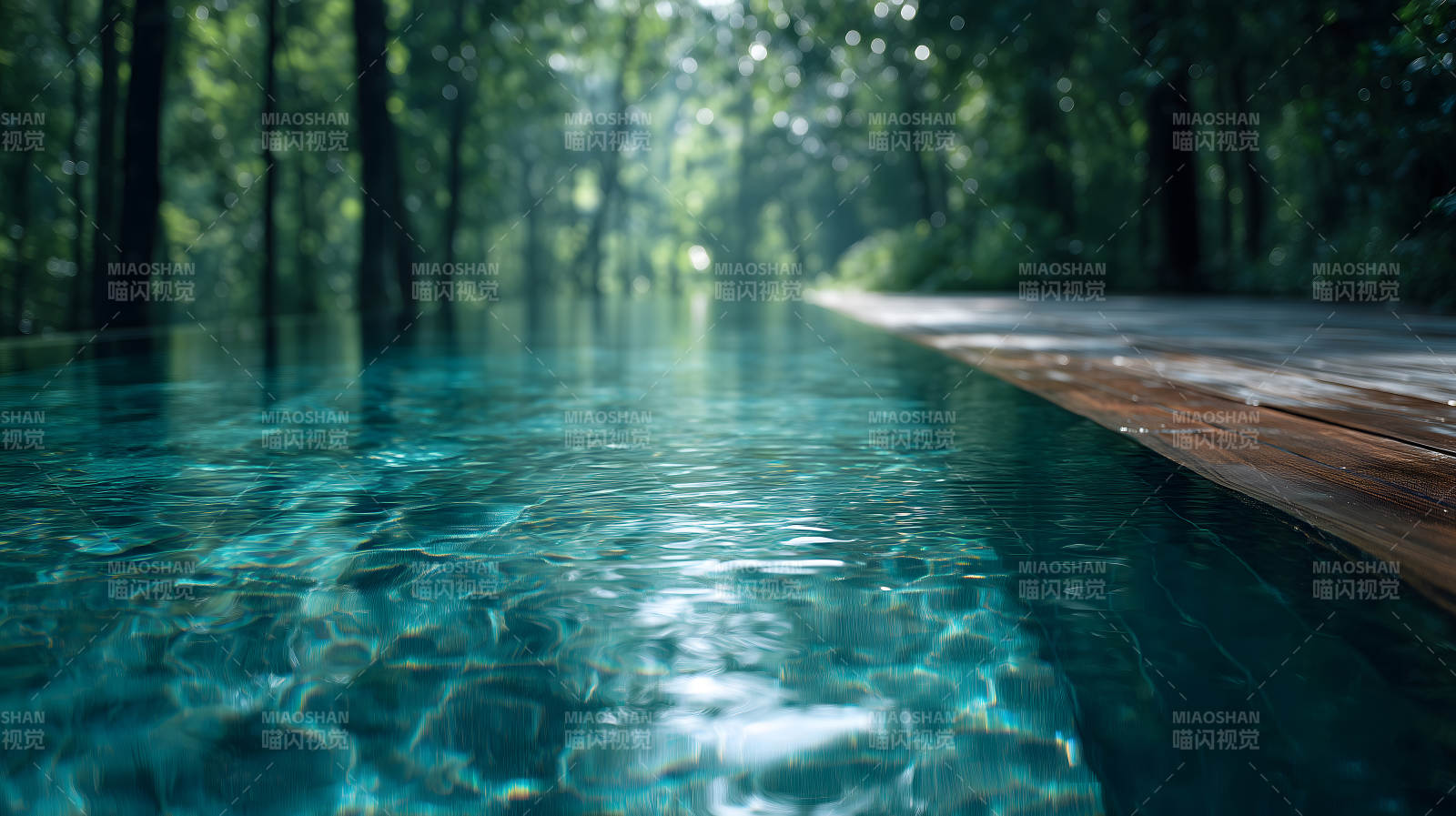 森林旁的泳池碧波荡漾光影斑驳图片