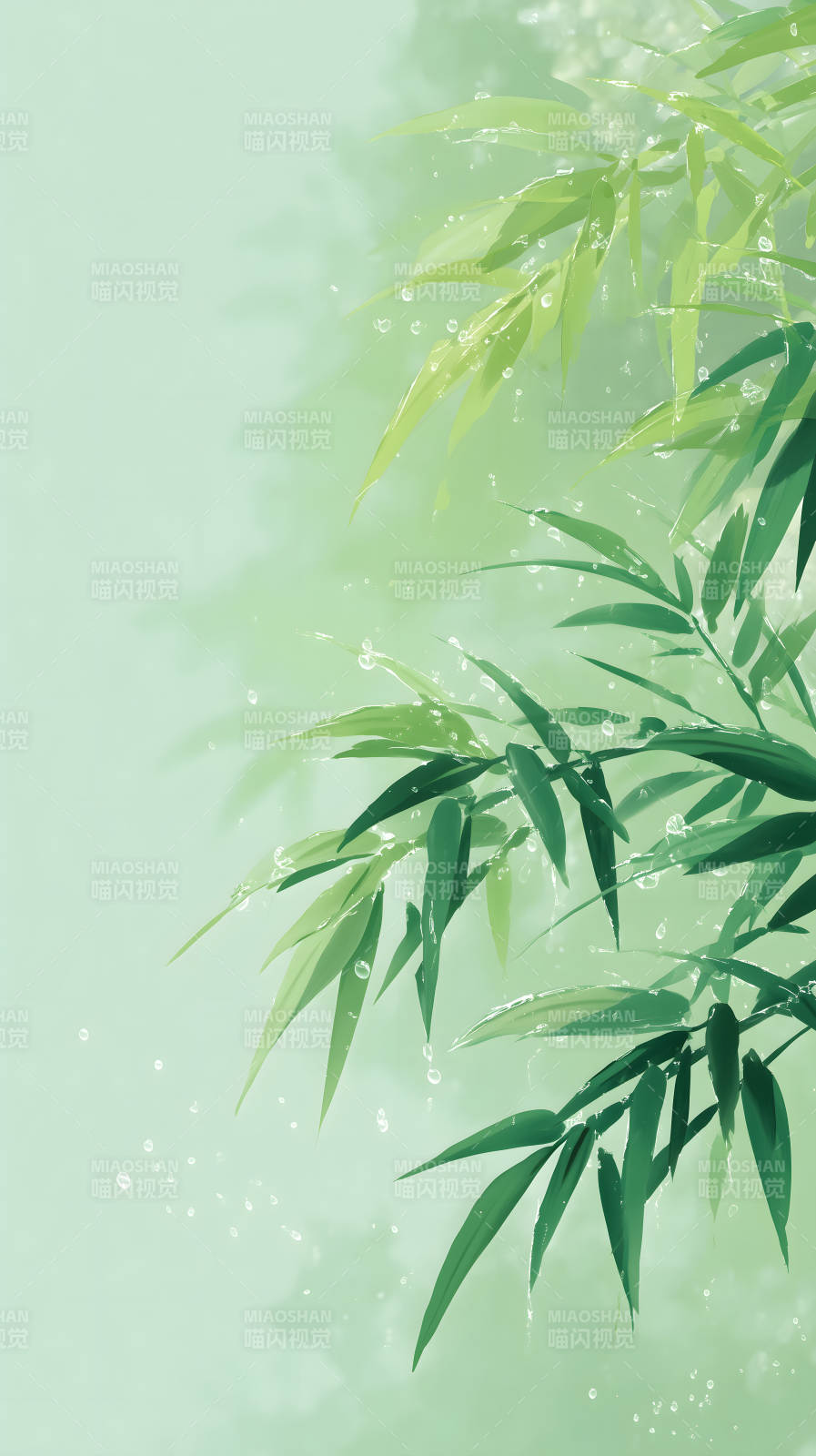 竹叶清新水珠图图片