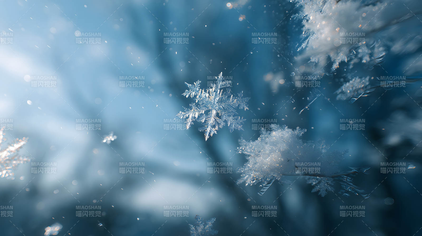 晶莹剔透的雪花特写镜头展现冬日之美图片