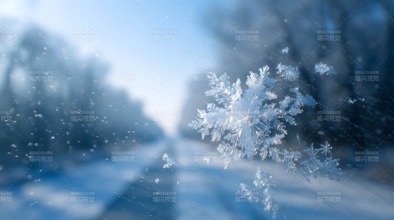 雪花特写晶莹剔透天空背景图片