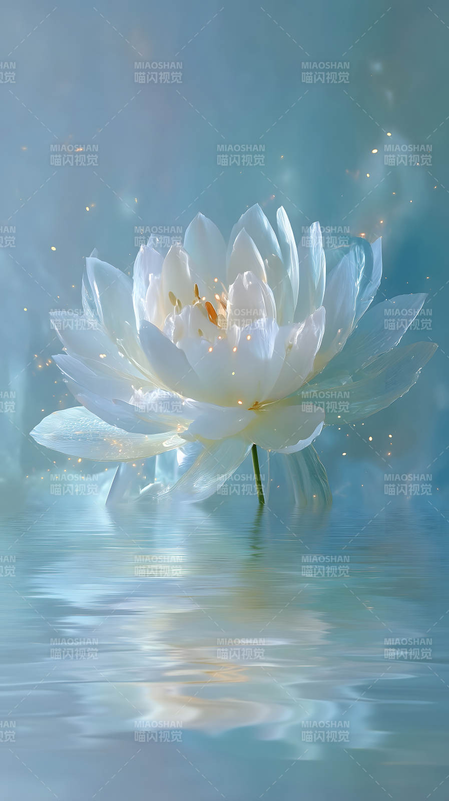 圣洁莲花绽放水面梦幻唯美图片