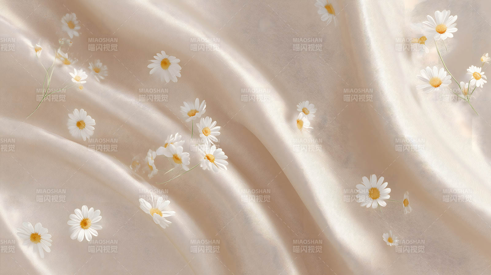 柔美绸缎点缀雏菊图片