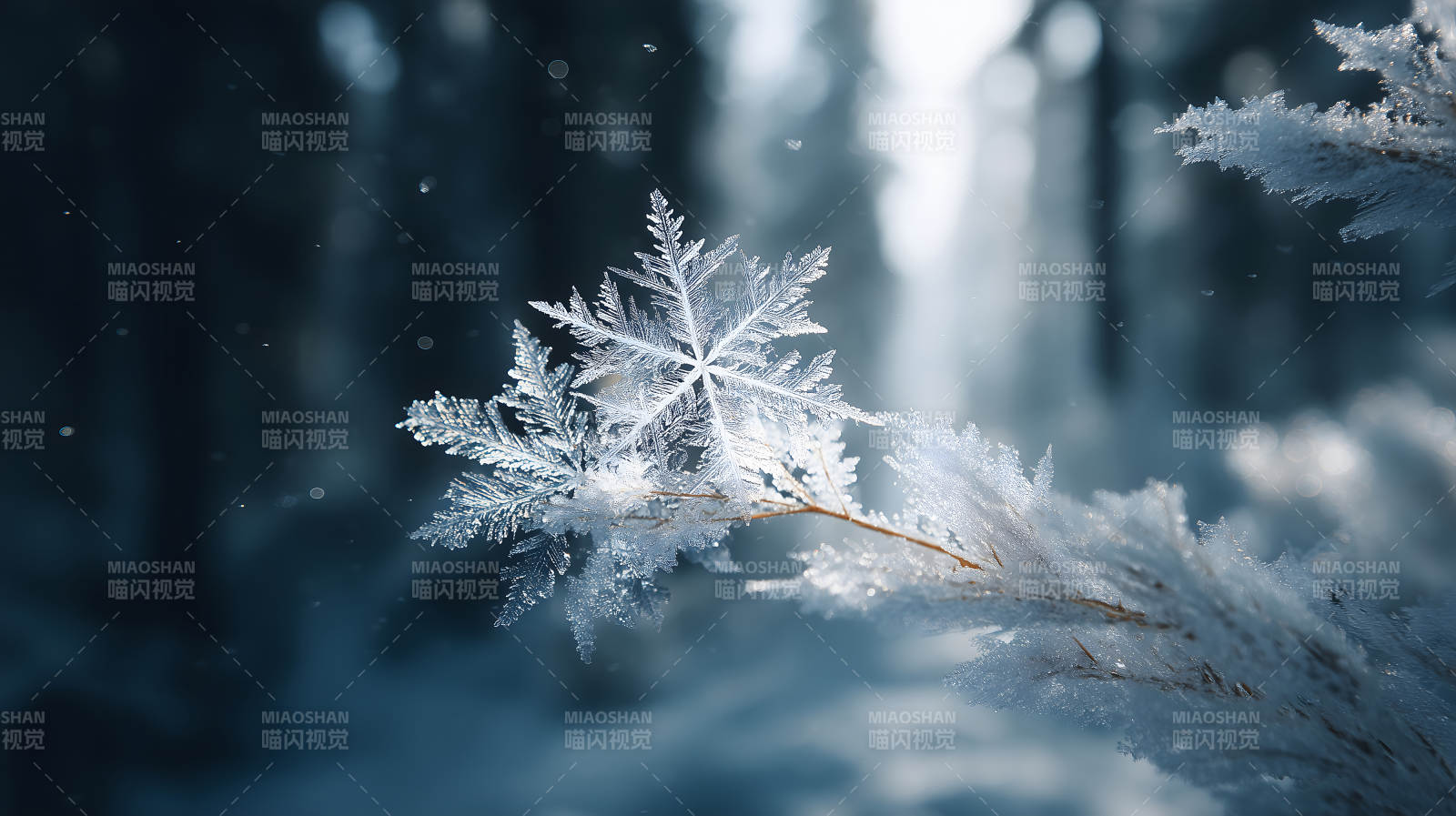 雪花依附于树枝上晶莹剔透图片