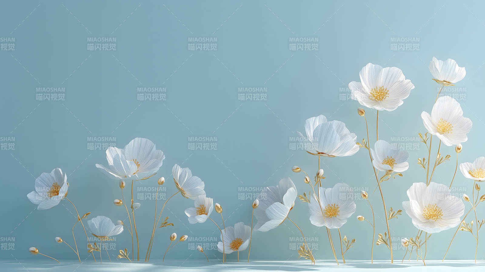 白色花朵背景图优雅唯美图片