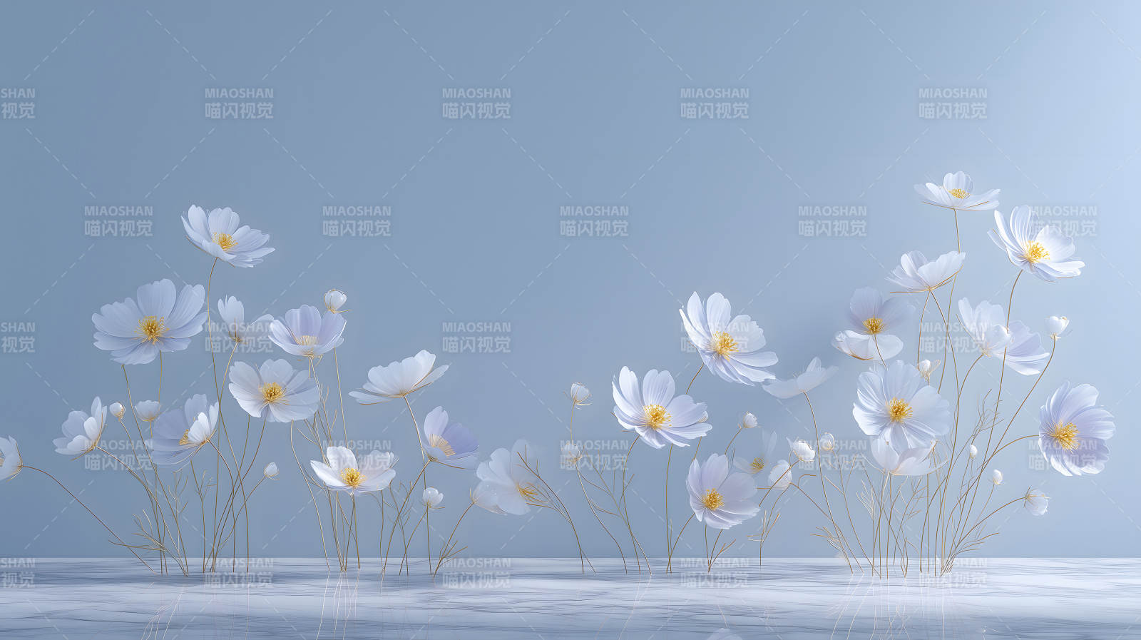 纯净的白色花朵艺术呈现图片